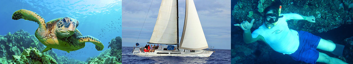 maui-morning-snorkel-slide Maui Sailing | Snorkeling Maui
