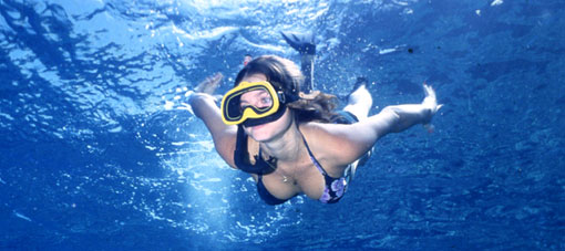 Morning Snorkel Sail