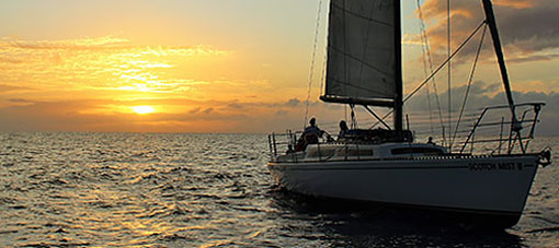 Champagne Sunset Sail
